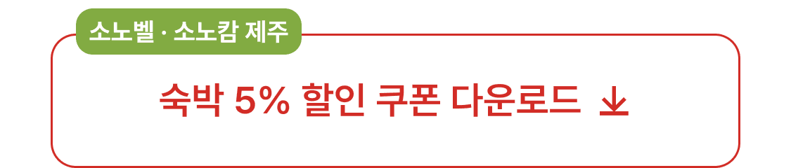 버튼_쿠폰다운_웹